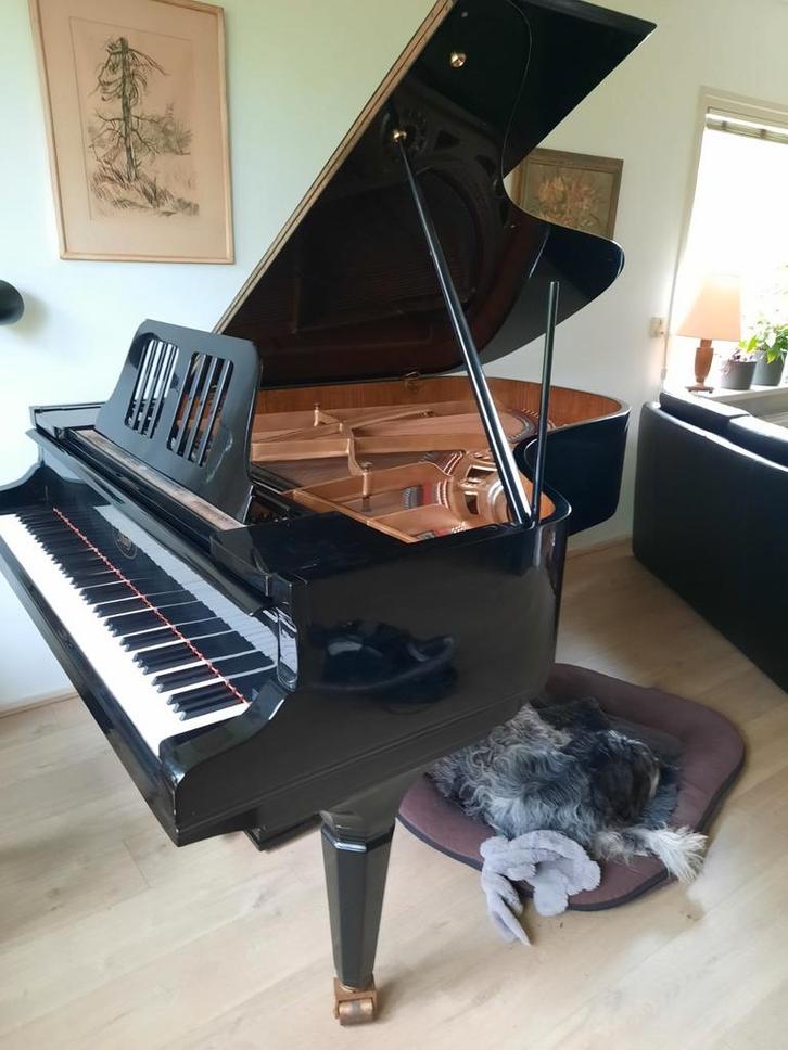 Vleugel Ibach 180cm . 2 keer gereviseerd., Muziek en Instrumenten, Overige Muziek en Instrumenten, Gebruikt, Ophalen