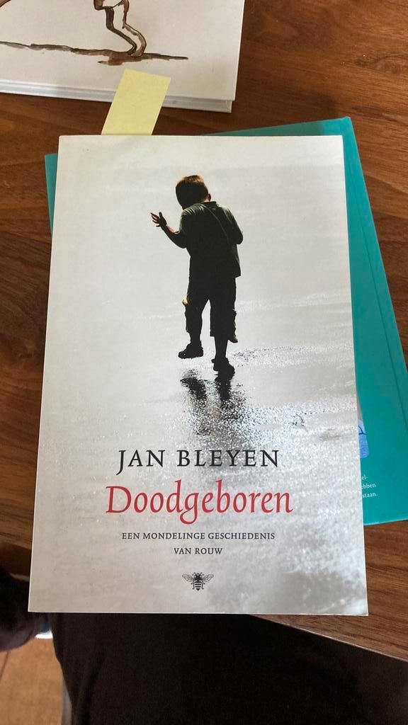 Jan Bleyen - Doodgeboren, Boeken, Overige Boeken, Zo goed als nieuw, Ophalen of Verzenden