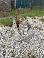 Betonnen bloempot in de vorm van tas met hondje, Ophalen, Gebruikt, Binnen, Overige vormen