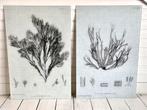 2 x Natuur schilderij / poster / afbeelding / print op glas, Huis en Inrichting, Ophalen, 75 cm of meer, 50 tot 75 cm, Print