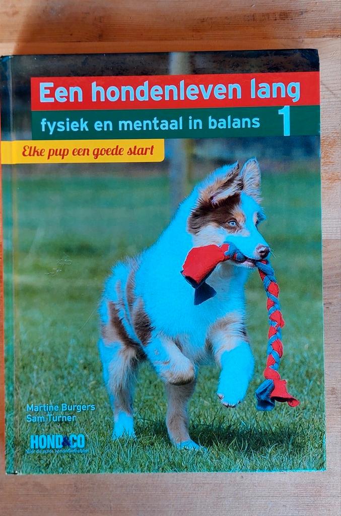 Een hondenleven lang 1 Fysiek en mentaal in balans, Boeken, Dieren en Huisdieren, Zo goed als nieuw, Honden, Ophalen of Verzenden