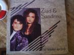 ziad & sandrina - die wächter der erde 19s, 7 inch, Single, Ophalen of Verzenden, Zo goed als nieuw