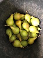 Stoofperen 1 euro/kg, Tuin en Terras, Ophalen of Verzenden