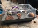 Hamsterkooi, Kooi, Gebruikt, Minder dan 75 cm, Hamster