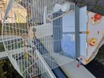 Vogelkooi, Dieren en Toebehoren, Ophalen, Zo goed als nieuw, Metaal, Vogelkooi