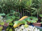 Vintage grote Papier-mache etalage GEKKO 73 cm Lang, Verzamelen, Retro, Ophalen, Huis en Inrichting