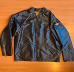 Quicksilver blouson, Maat 52/54 (L), Blauw, QuickSilver, Ophalen of Verzenden