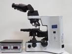 Microscoop Olympus BX 41 met verwarmde tafel, Ophalen of Verzenden, Minder dan 400x, Biologische microscoop