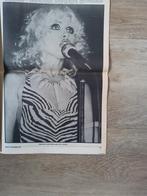 Debbie Harry:  A3  formaat   okt. 1977, Ophalen of Verzenden, Zo goed als nieuw, Foto of Kaart