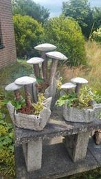 Decoratieve cementen paddestoelen in pot, Ophalen, Zo goed als nieuw
