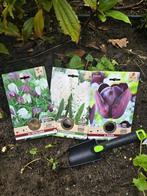 Bloembollen Mix Fritillaria, Tulpen en Hyachinthen - 38 bol, Verzenden, Najaar, Halfschaduw, Bloembol