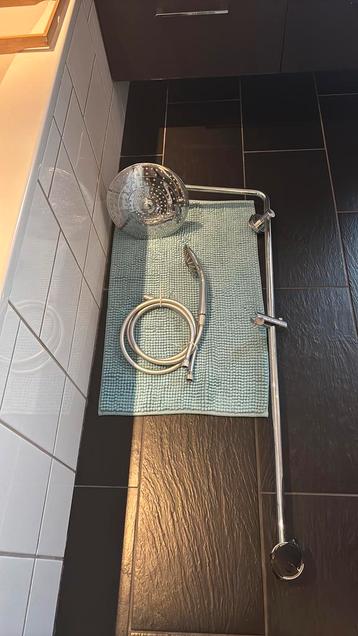 Grohe regendouche met handdouche beschikbaar voor biedingen