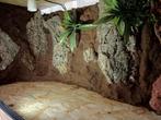 Osb terrarium RepHouSZ. 80/50/50 met zijn / achterwand, Dieren en Toebehoren, Reptielen en Amfibieën | Toebehoren, Ophalen, Nieuw