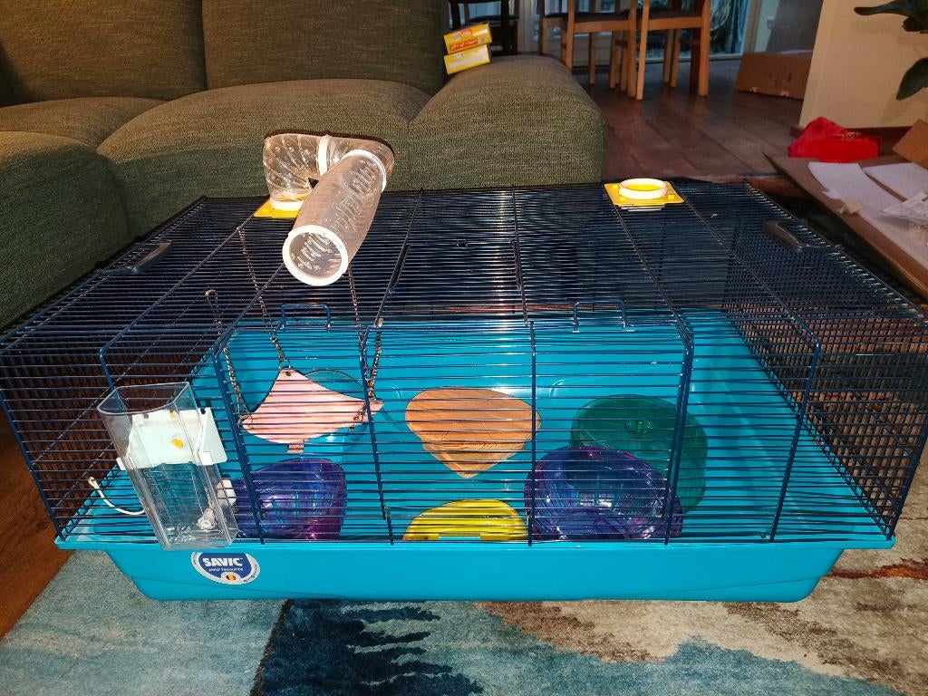 Hamster cavia kooi, Kooi, Nieuw, Cavia, 75 tot 110 cm