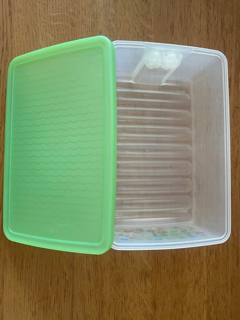 Tupperware FridgeSmart 1,6L - Vershouddoos (2 x beschikbaar), Huis en Inrichting, Keuken | Tupperware, Nieuw, Bak of Kom, Groen