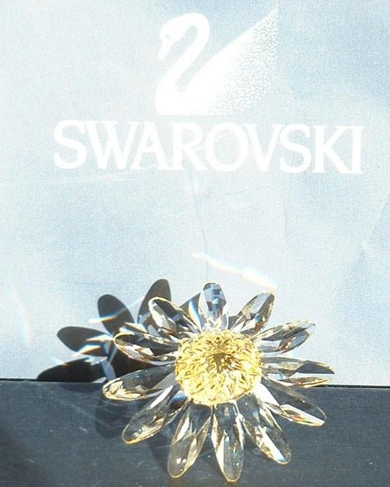 Swarovski stukjes met doosje, Ophalen of Verzenden, Zo goed als nieuw, Figuurtje