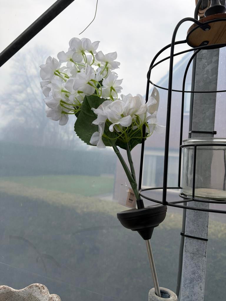 Kunst bloemen, Ophalen, Nieuw