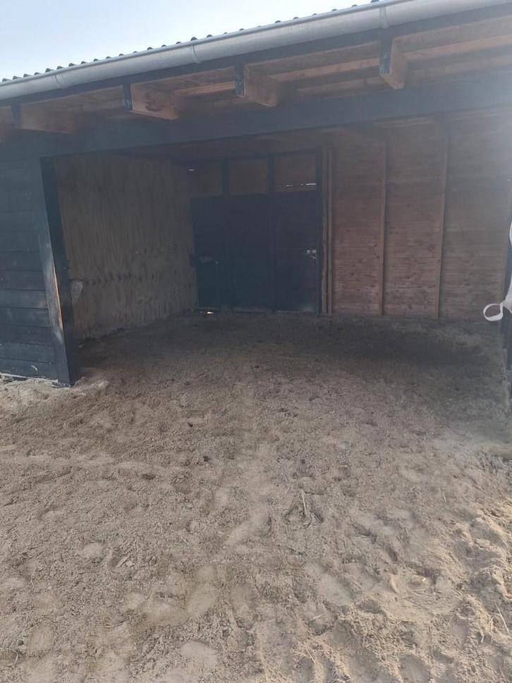 Paardenrusthuis heeft plekjes vrij, Dieren en Toebehoren, Stalling en Weidegang, Weidegang, 2 of 3 paarden of pony's