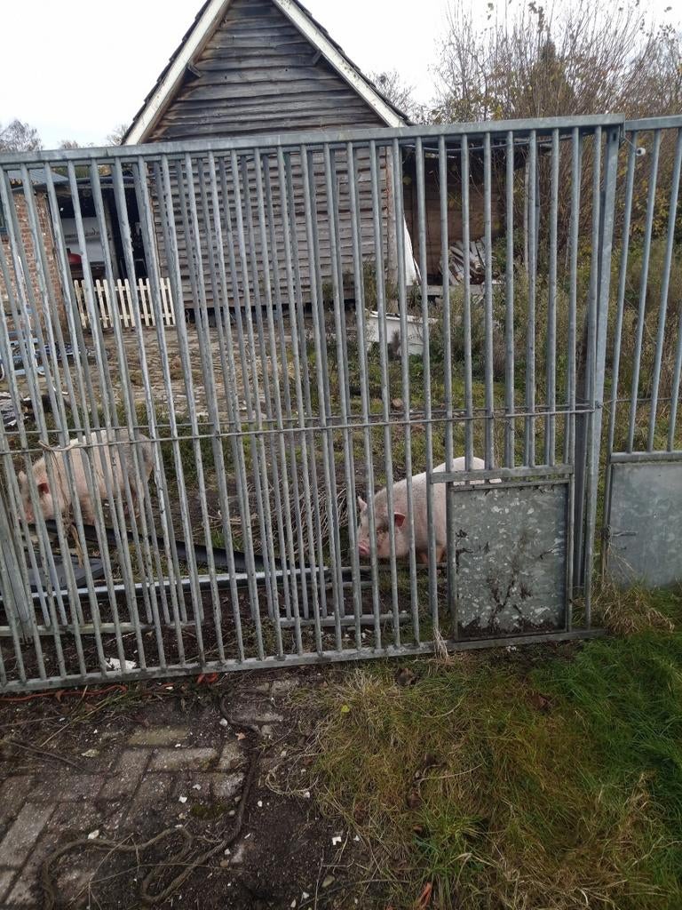 Kennel delen ., Dieren en Toebehoren, Ophalen, 110 cm of meer, 100 cm of meer