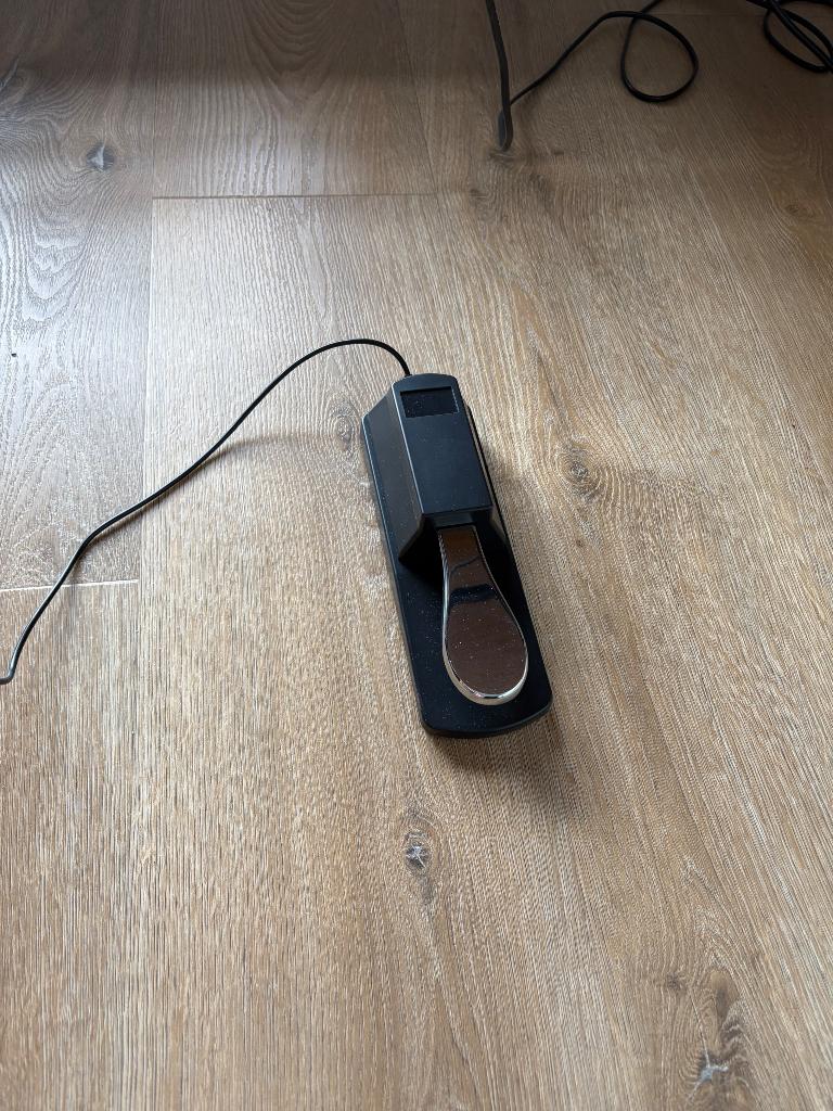 Sustain pedaal, Muziek en Instrumenten, Instrumenten | Toebehoren, Ophalen, Nieuw, Piano