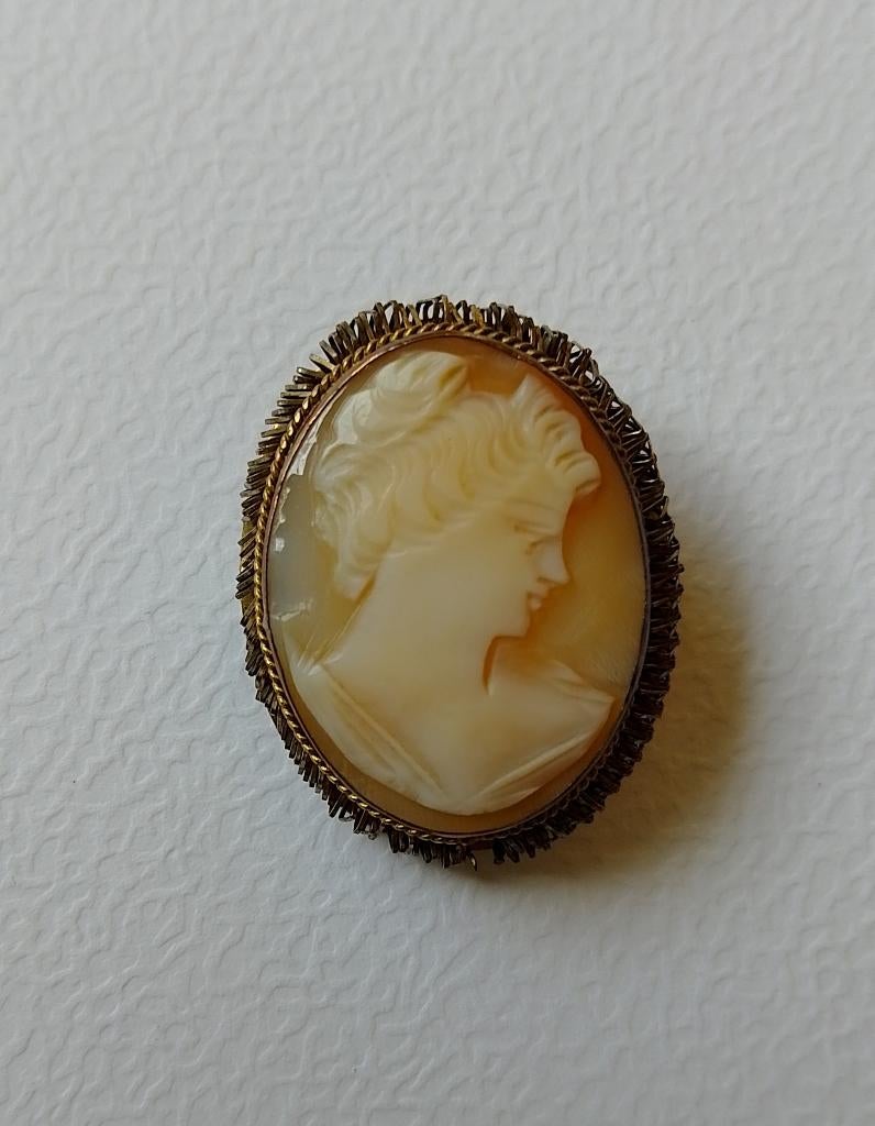 camee broche hanger te koop, Overige materialen, Gebruikt, Overige kleuren, Minder dan 4 cm