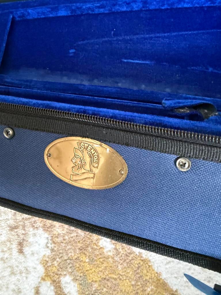 Viool met koffer - Stentor - Giovani Paolo Magini, Gebruikt, Overige formaten, Viool, Ophalen of Verzenden