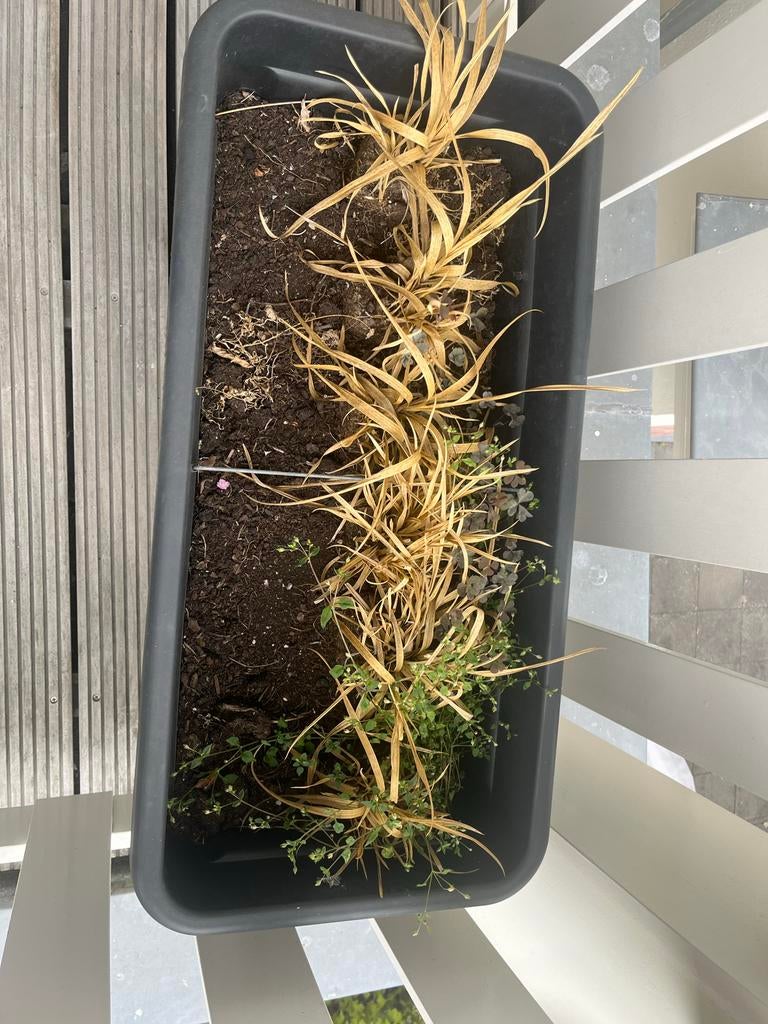 Elho kweekbak - Gebruikt, maar in zeer goede staat, Tuin en Terras, Bloembakken en Plantenbakken, Zo goed als nieuw, Kunststof