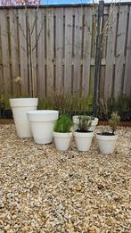Diverse witte kunstof potten van Ehlo, Tuin en Terras, Bloembakken en Plantenbakken, Ophalen, Kunststof, Gebruikt, Rond