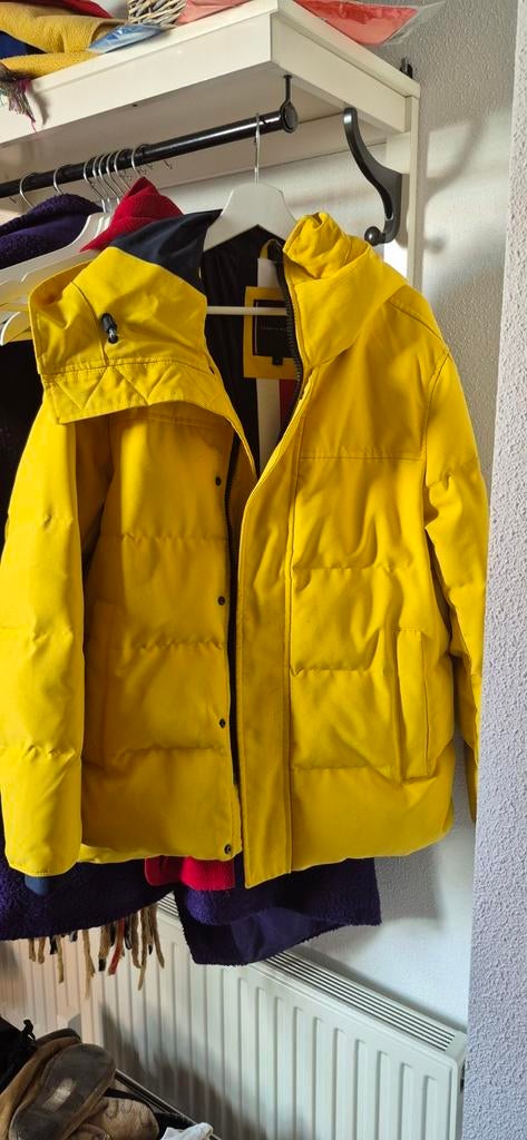 Mooie jas van dons wel met een paar vlekken, Maat 52/54 (L), Geel, Tommy Hilfiger, Ophalen of Verzenden