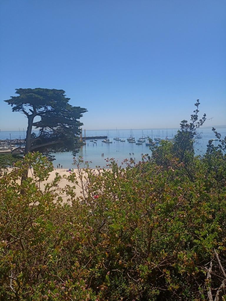 Ervaren chat operator gezocht, Vacatures, Vacatures | Thuiswerk, Overige niveaus, Vanaf 3 jaar, Overige vormen, 25 - 32 uur