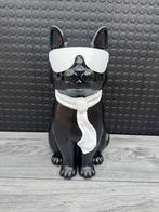 poes met bril, Ophalen of Verzenden, Nieuw, Dier