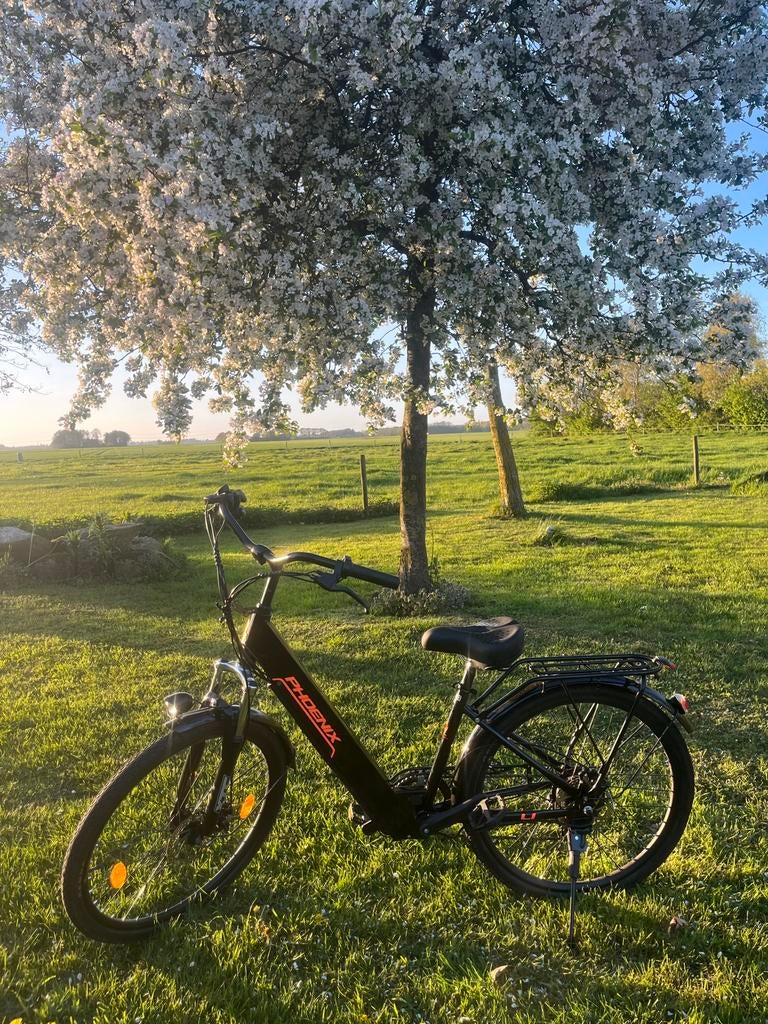 Phoenix elektrische fiets - nieuw, Fietsen en Brommers, Ophalen, Nieuw, Overige merken