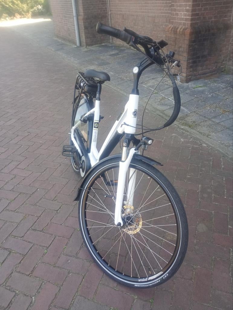 Te koop mooi Amslod, 59 cm of meer, Ophalen, Zo goed als nieuw, Overige merken