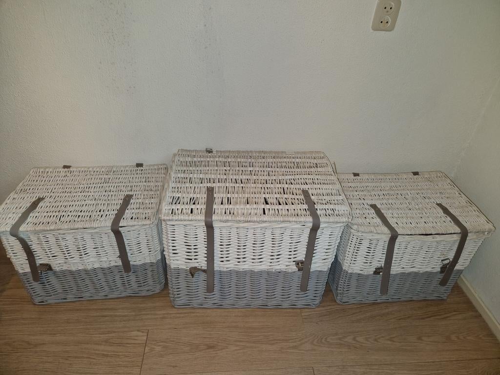 Set van 3 rieten manden, Huis en Inrichting, Woonaccessoires | Schalen en Manden, Ophalen