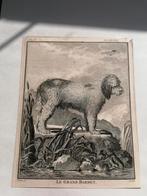 Litho, steendruk, Jaques de seve, Le grand barbet,, Ophalen of Verzenden