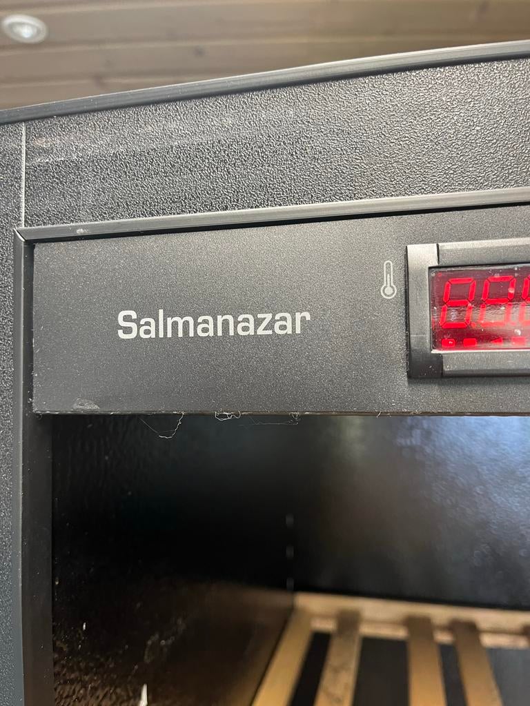 Wijnkoelkast Salmazanar - 170cm hoog, gebruikt, goede staat, Witgoed en Apparatuur, Koelkasten en IJskasten, Ophalen, 200 liter of meer