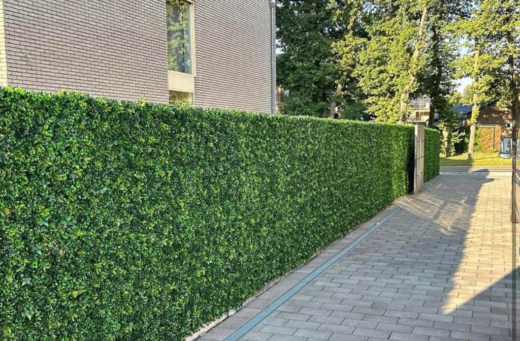 Kunsthagen 🌿 voor de scherpste prijs op=op🔥, Ophalen of Verzenden, Nieuw