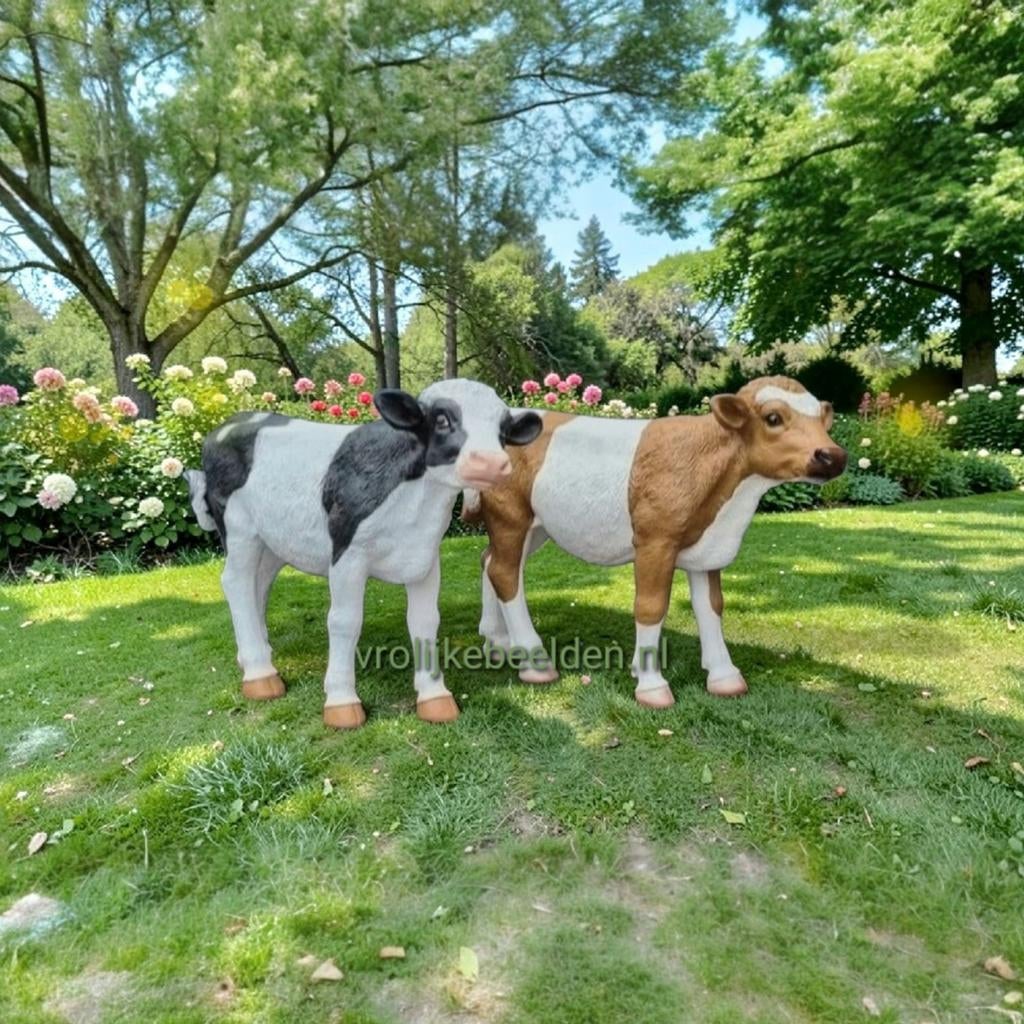 Beeld kalf, kunststof koe, kunst koe, kalfjes, koe beeld, Ophalen, Nieuw, Kunststof, Dierenbeeld