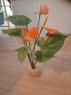 Sierplant aquarium ca. 30 cm hoog (2 stuks aanwezig), Dieren en Toebehoren, Ophalen of Verzenden, Gebruikt, Sierelement