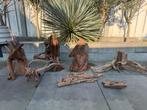 Aqarium hout, Ophalen, Zo goed als nieuw, Plant(en), Steen of Hout