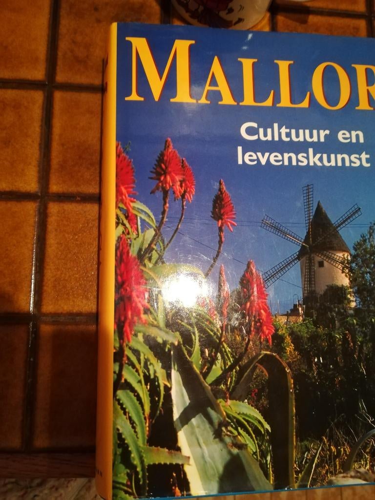 Mallorca, cultuur en levenskunst + Motorrad Guide & Roadbook, Overige merken, Ophalen of Verzenden, Zo goed als nieuw, Europa