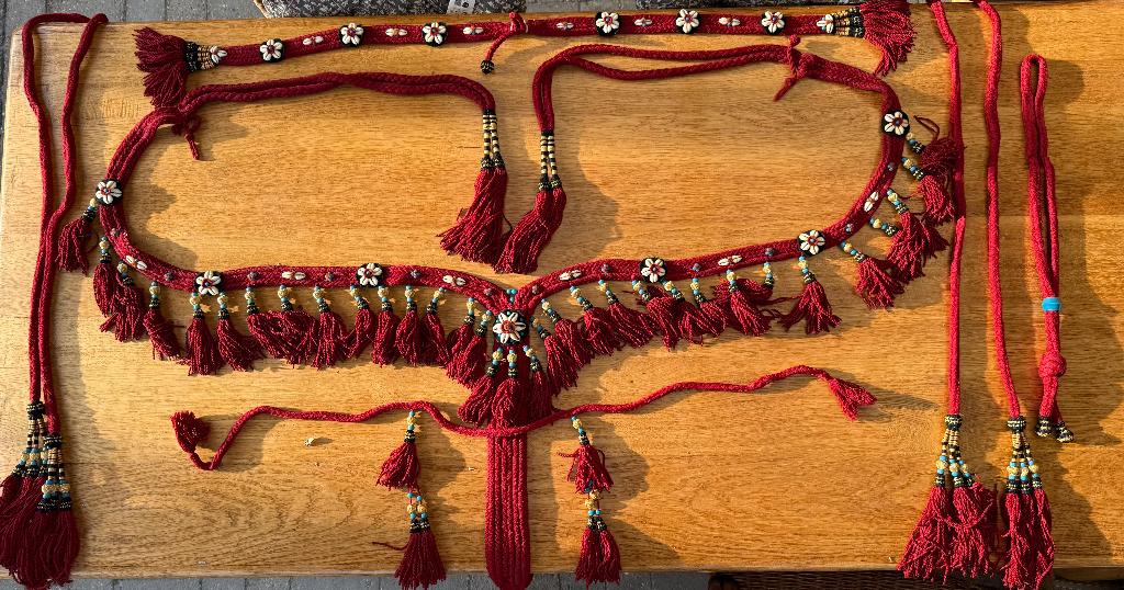 Prachtig authentiek Oosters paardentuig !, Dieren en Toebehoren, Paarden en Pony's | Hoofdstellen en Tuigage, Ophalen of Verzenden