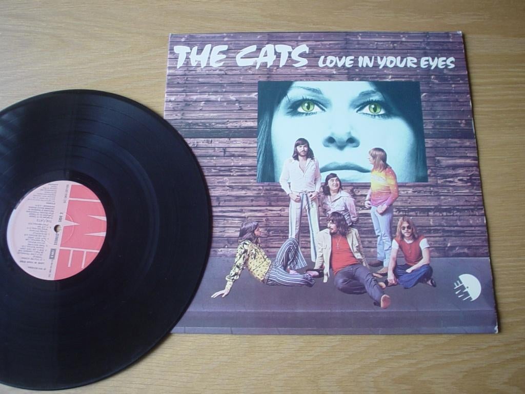 Lp The Cats, Cd's en Dvd's, Vinyl | Pop, Ophalen of Verzenden, Zo goed als nieuw, 12 inch