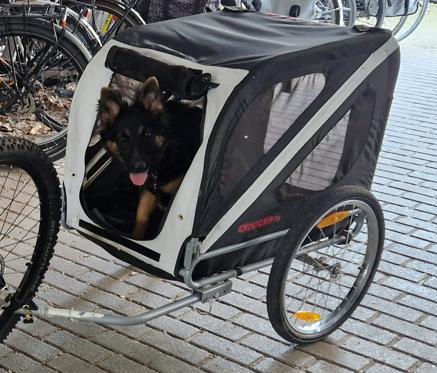 Croozer Dog, Dieren en Toebehoren, Transportboxen, Zo goed als nieuw, Ophalen