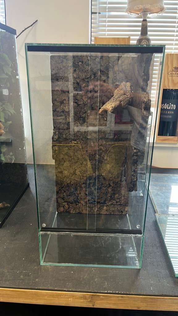 Terrarium 30x30x60cm met achtergrond, Dieren en Toebehoren, Ophalen, Nieuw, Terrarium of Paludarium