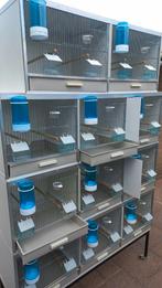 Broedkooien te koop, Ophalen, Hout, Broedkooi of Kweekkooi