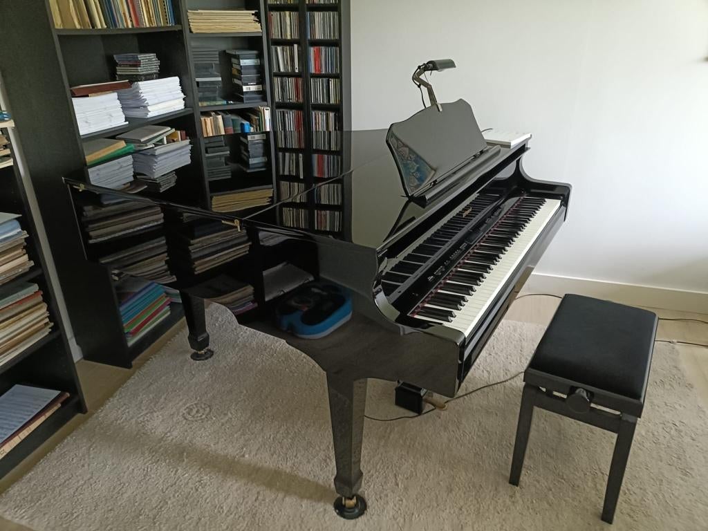 Elektronische vleugel Roland, Muziek en Instrumenten, Piano's, Ophalen, Zwart, Zo goed als nieuw, Hoogglans