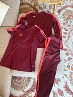 Adidas trainingspak compleet, Ophalen of Verzenden, Zo goed als nieuw, Maat 36 (S)