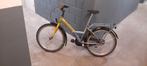 Loekie kinderfiets 20 inch, Ophalen, Gebruikt, 20 inch of meer