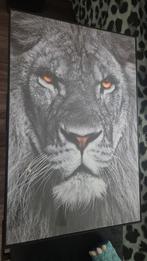 Tekoop  schilderijen leeuw, Ophalen, Minder dan 50 cm, Nieuw, Schilderij